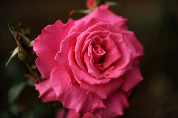 100512 m2 DSC_9561.jpg